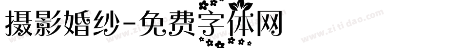 摄影婚纱字体转换