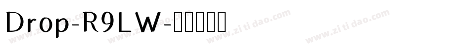 Drop-R9LW字体转换