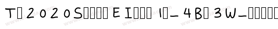 Tt2020StyleEItalic-4Bn3W字体转换