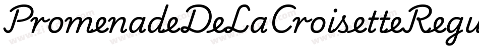 PromenadeDeLaCroisetteRegular-8MOOZ字体转换