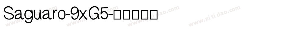 Saguaro-9xG5字体转换