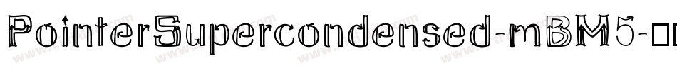 PointerSupercondensed-mBM5字体转换