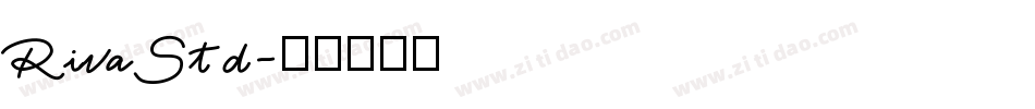 RivaStd字体转换