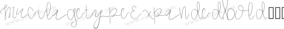 MucilagetypeExpandedbold-07rR字体转换