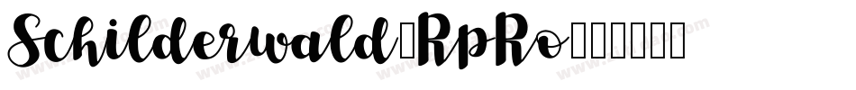 Schilderwald-RpRo字体转换