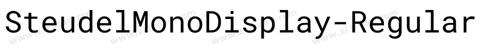 SteudelMonoDisplay-Regular字体转换