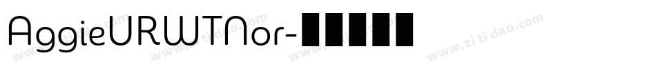 AggieURWTNor字体转换