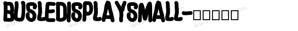 BusLedisplaySmall字体转换