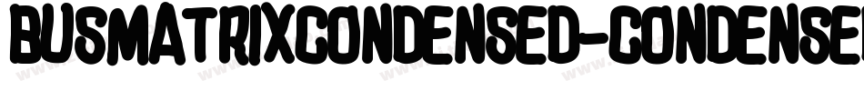 BusMatrixCondensed-Condensed字体转换