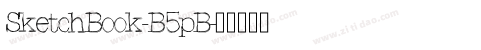 SketchBook-B5pB字体转换