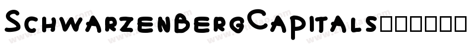 SchwarzenbergCapitals字体转换
