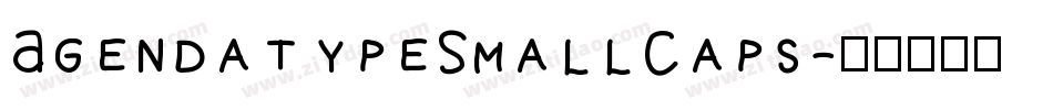 AgendatypeSmallCaps字体转换