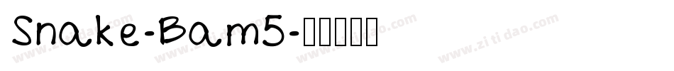 Snake-Bam5字体转换
