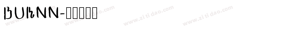 BURNN字体转换