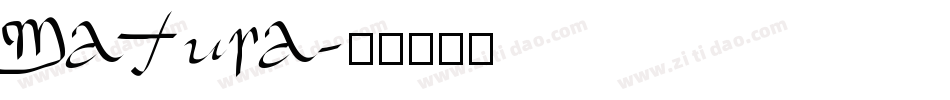 Matura字体转换