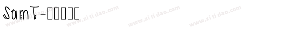 SamT字体转换