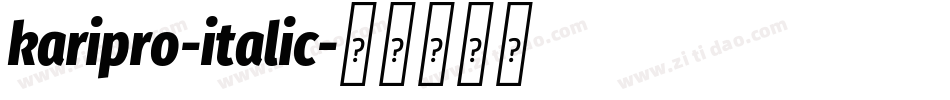 karipro-italic字体转换 karipro-italic字体转换