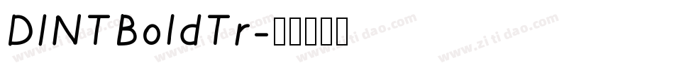 DINTBoldTr字体转换