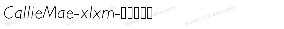 CallieMae-xlxm字体转换