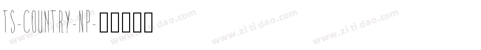 TS-Country-NP字体转换