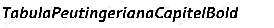 TabulaPeutingerianaCapitelBoldItalic-O14d字体转换