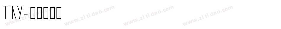 TINY字体转换
