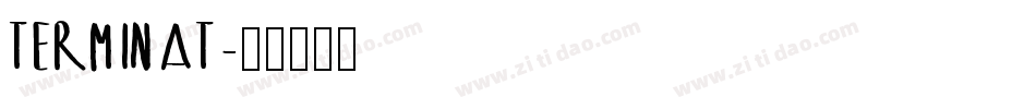 TERMINAT字体转换