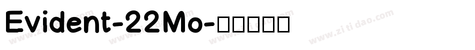 Evident-22Mo字体转换