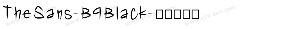 TheSans-B9Black字体转换