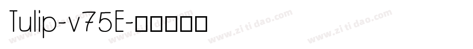 Tulip-v75E字体转换
