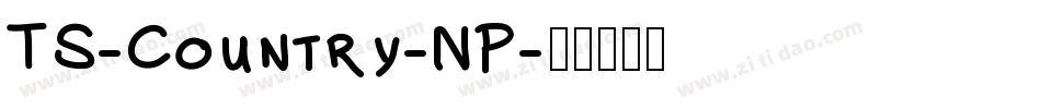 TS-Country-NP字体转换