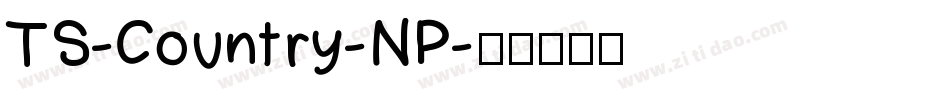 TS-Country-NP字体转换