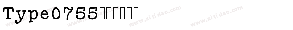 Type0755字体转换