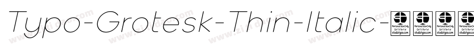 Typo-Grotesk-Thin-Italic字体转换