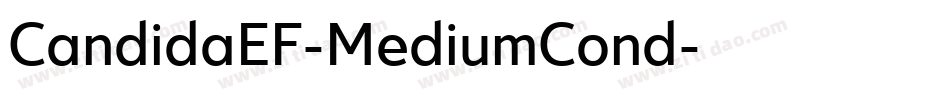 CandidaEF-MediumCond字体转换