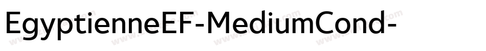 EgyptienneEF-MediumCond字体转换