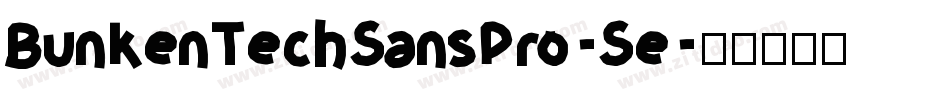 BunkenTechSansPro-Se字体转换