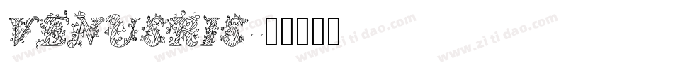 VENUSRIS字体转换