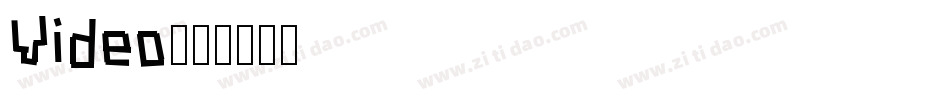 Video字体转换