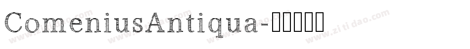 ComeniusAntiqua字体转换