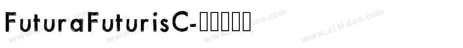 FuturaFuturisC字体转换