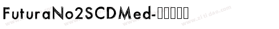 FuturaNo2SCDMed字体转换