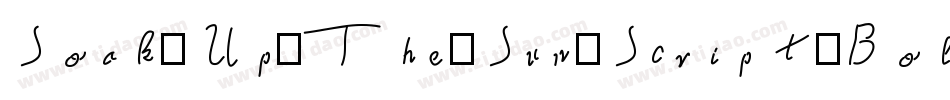 Soak-Up-The-Sun-Script-Bold字体转换