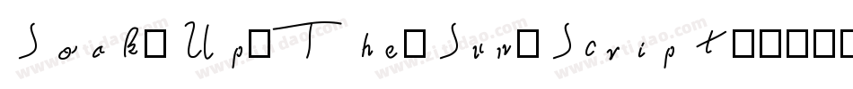 Soak-Up-The-Sun-Script字体转换