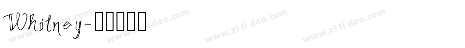 Whitney字体转换