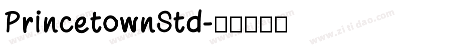 PrincetownStd字体转换