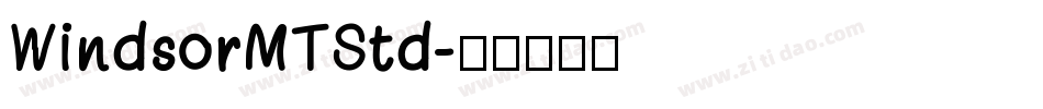 WindsorMTStd字体转换