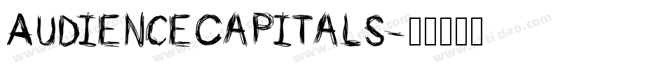 AudienceCapitals字体转换