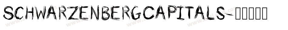 SchwarzenbergCapitals字体转换