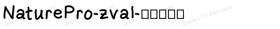 NaturePro-zval字体转换
